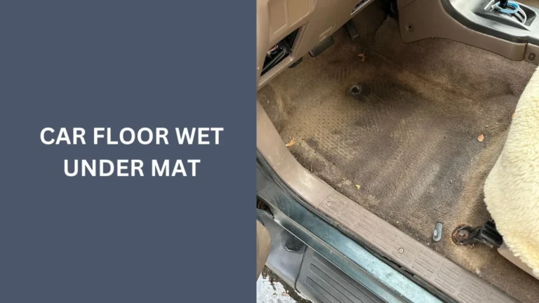 Car Floor Wet Under Mat