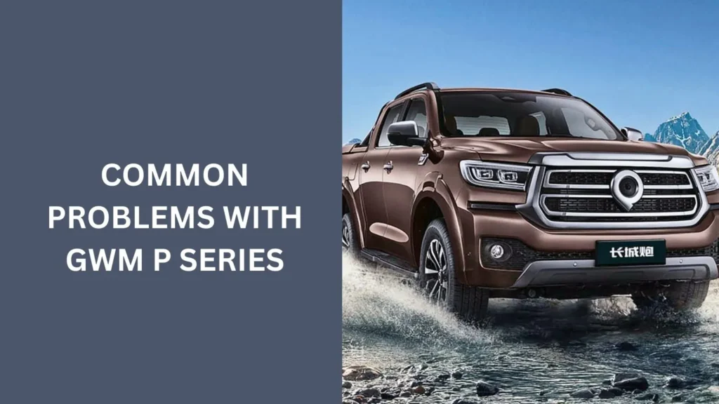 Common Problems with GWM P Series