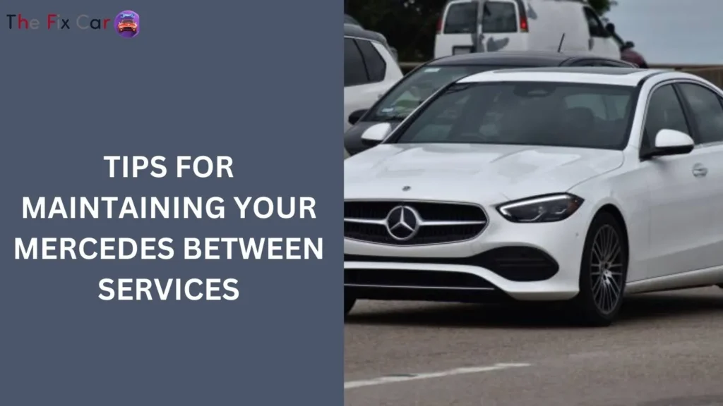 Tips for Maintaining Your Mercedes Between Services